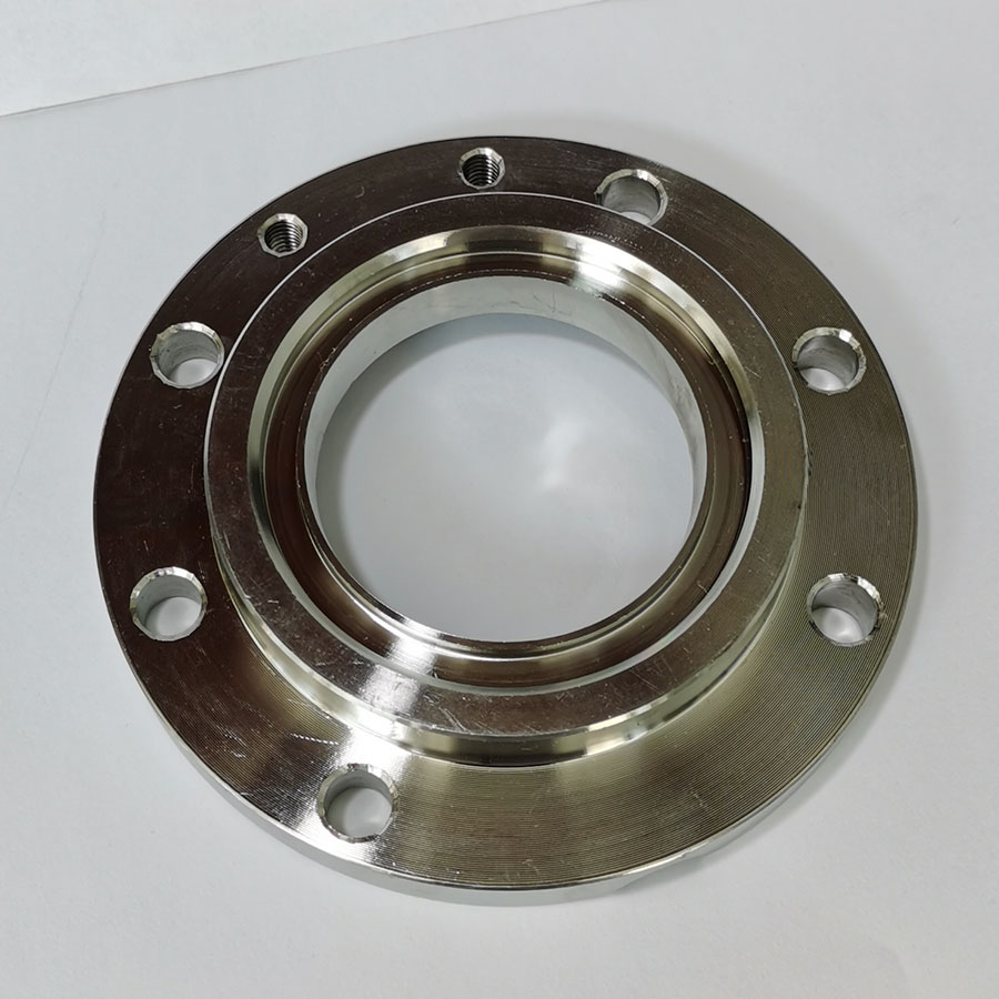 OEM Custom Forged Stainless Steel Flange